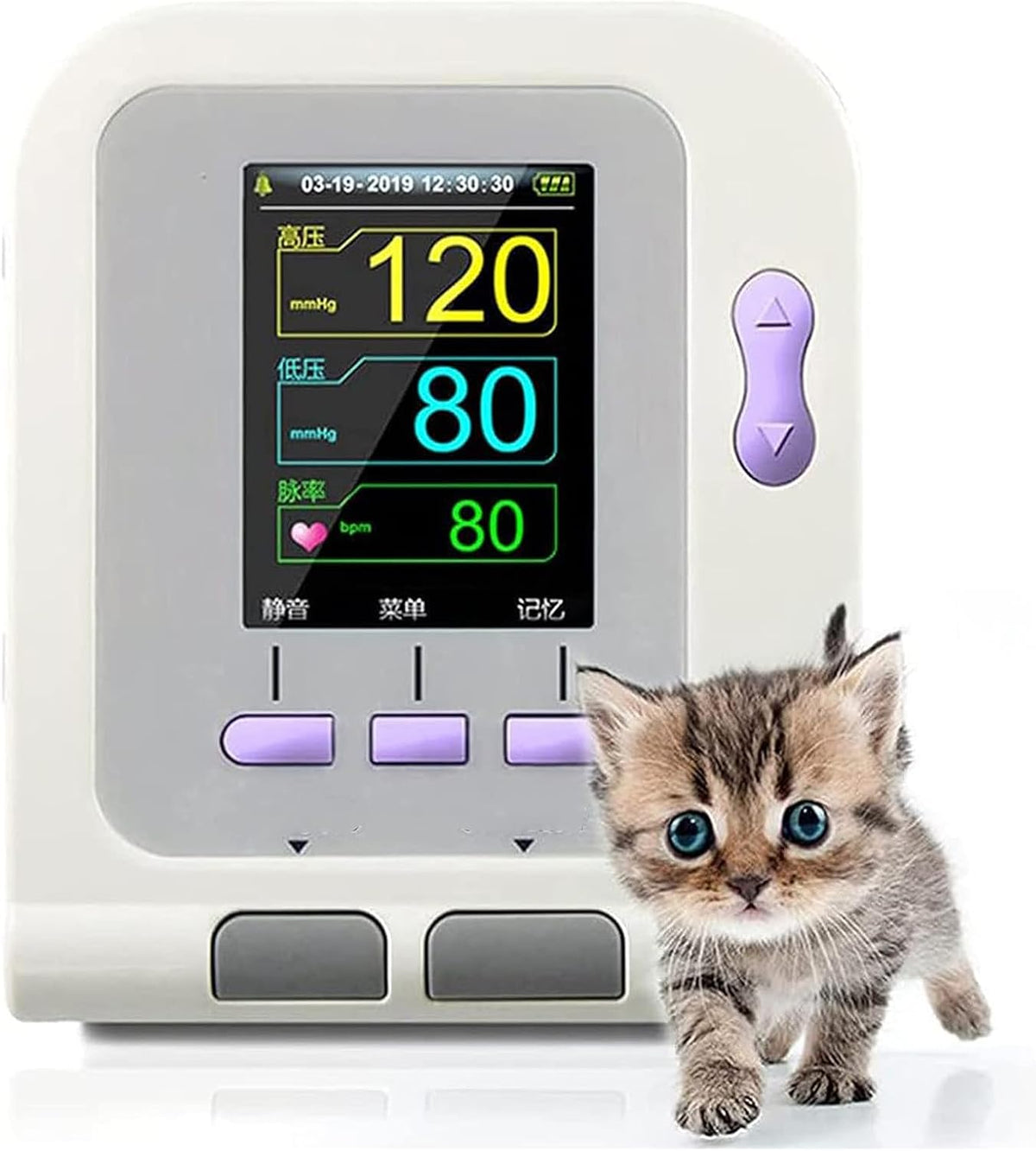 Tensiomètre numérique vétérinaire avec 3 poignets, équipement de soins des animaux de bureau pour chiens, chats et animaux de compagnie